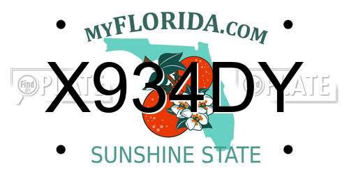 X934DY Florida License Plate