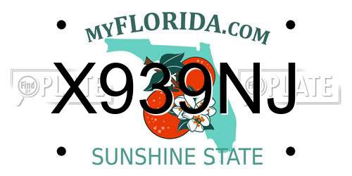 X939NJ Florida License Plate