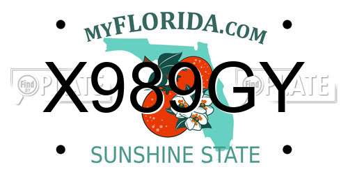 X989GY Florida License Plate