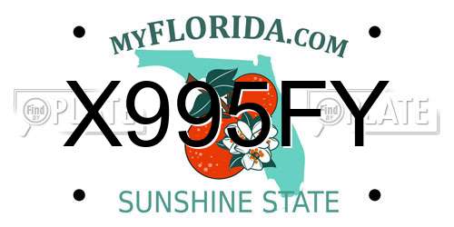 X995FY Florida License Plate