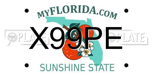 X99PE Florida License Plate