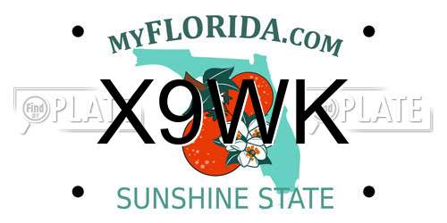 X9WK Florida License Plate