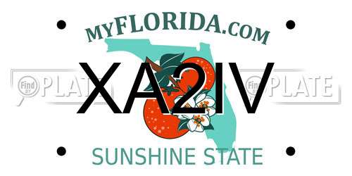 XA2IV Florida License Plate