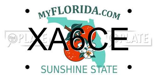 XA6CE Florida License Plate
