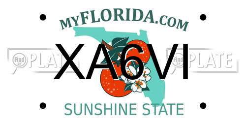XA6VI Florida License Plate