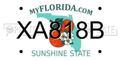 XA818B Florida License Plate