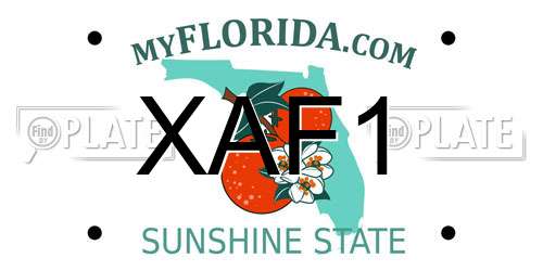 XAF1 Florida License Plate