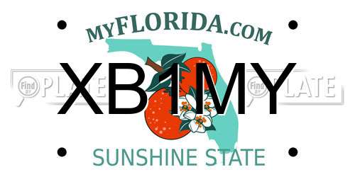 XB1MY Florida License Plate