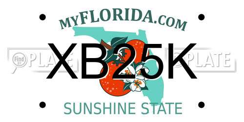 XB25K Florida License Plate