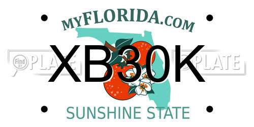 XB30K Florida License Plate