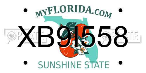XB9I558 Florida License Plate
