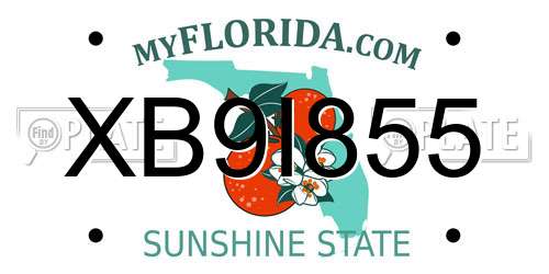 XB9I855 Florida License Plate