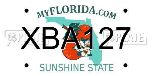 XBA127 Florida License Plate