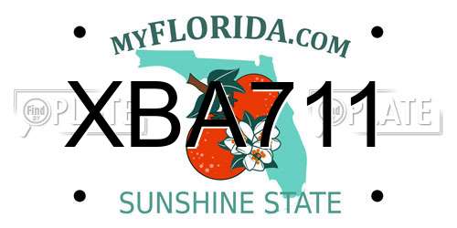 XBA711 Florida License Plate