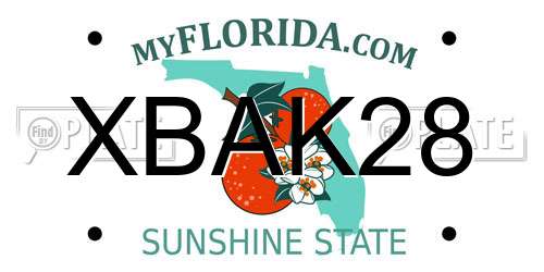 XBAK28 Florida License Plate