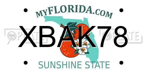 XBAK78 Florida License Plate