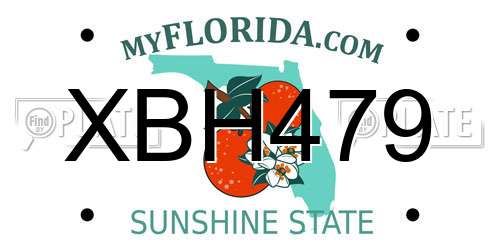 XBH479 Florida License Plate