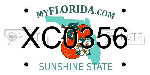 XC0356 Florida License Plate