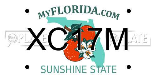 XC17M Florida License Plate