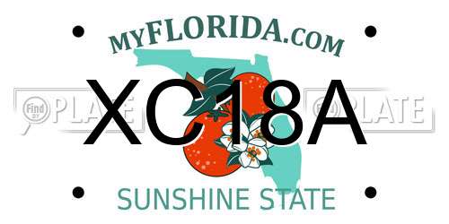 XC18A Florida License Plate