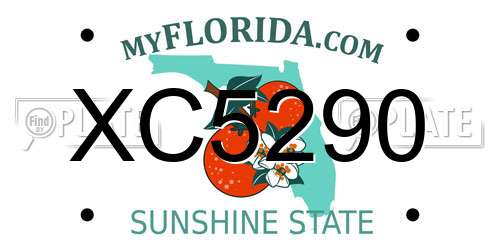 XC5290 Florida License Plate