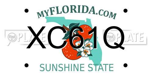 XC61Q Florida License Plate
