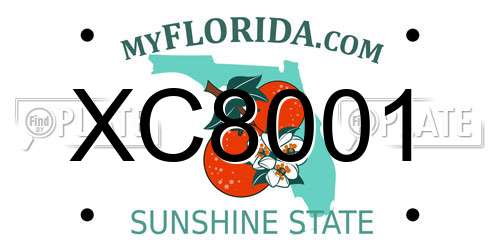 XC8001 Florida License Plate