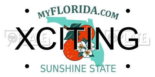 XCITING Florida License Plate