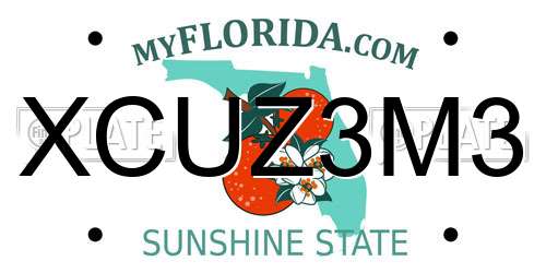 XCUZ3M3 Florida License Plate