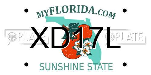 XD17L Florida License Plate