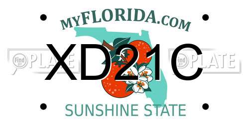 XD21C Florida License Plate