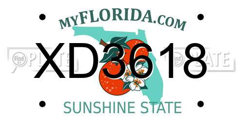 XD3618 Florida License Plate