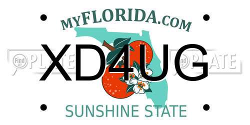XD4UG Florida License Plate