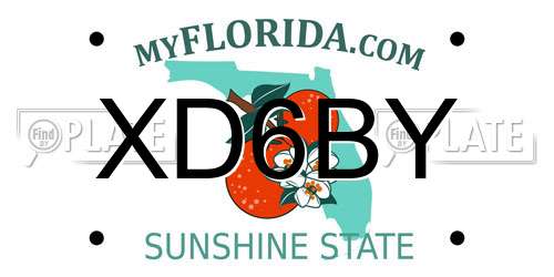 XD6BY Florida License Plate