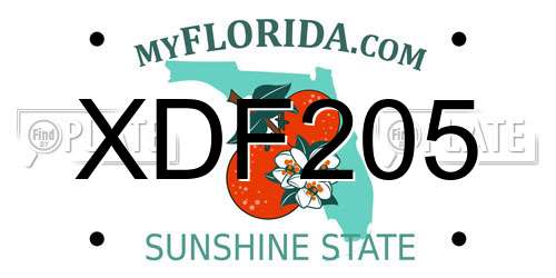 XDF205 Florida License Plate