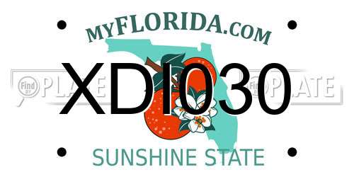 XDI030 Florida License Plate