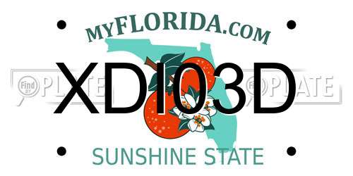 XDI03D Florida License Plate