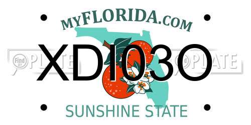 XDI03O Florida License Plate