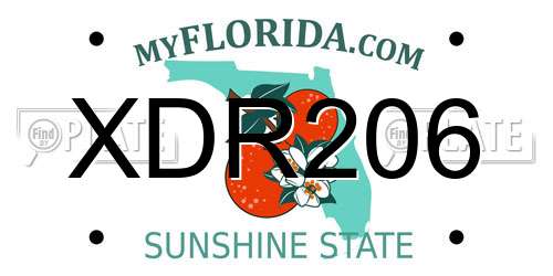 XDR206 Florida License Plate