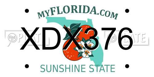 XDX376 Florida License Plate