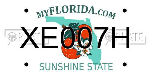 XE007H Florida License Plate