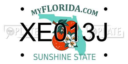 XE013J Florida License Plate