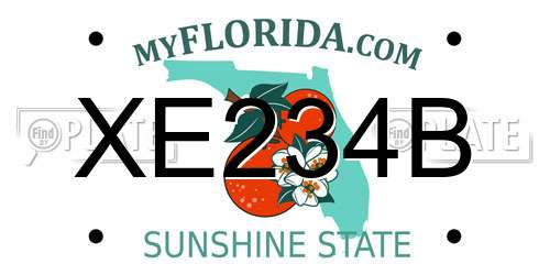XE234B Florida License Plate