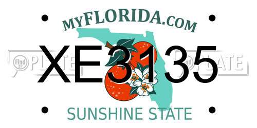 XE3135 Florida License Plate