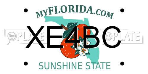 XE4BC Florida License Plate