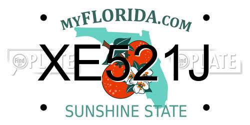 XE521J Florida License Plate