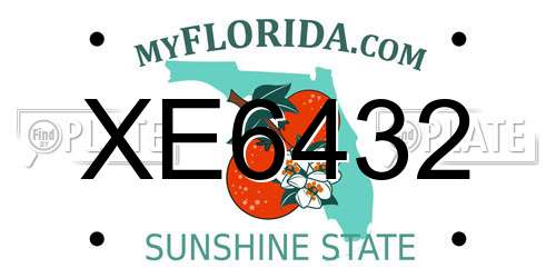 XE6432 Florida License Plate