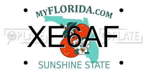 XE6AF Florida License Plate