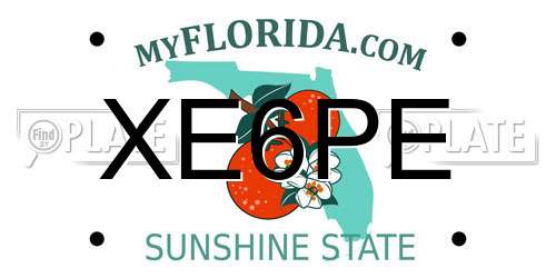 XE6PE Florida License Plate