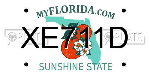 XE711D Florida License Plate